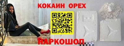 стафф Кандалакша