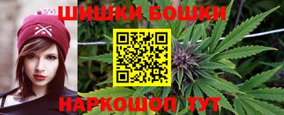 стафф Кандалакша