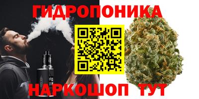 бошки Камышлов