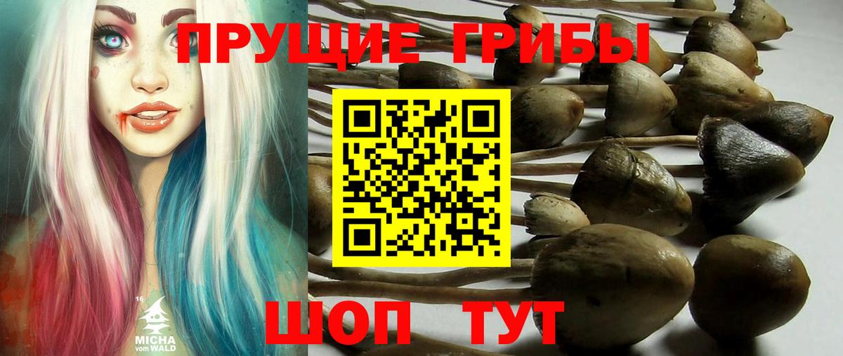 Галлюциногенные грибы Psilocybine cubensis  Вход с VPN  где продают   Лосино-Петровский 
